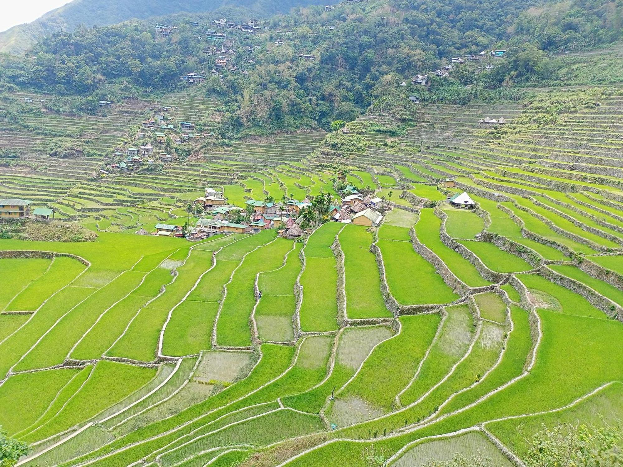 Banaue Transient House Bed And Breakfast Exteriör bild
